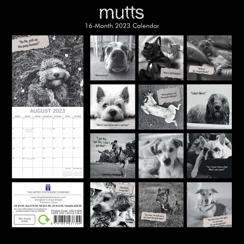 Mutts - 2023 Square Wall Calendar 16 month by Gifted Stationery