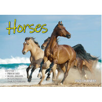 Horses - 2025 Rectangle Wall Calendar 13 Months by Bartel