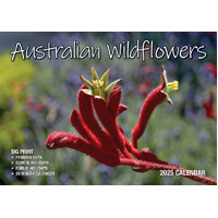 Australian Wildflowers - 2025 Rectangle Wall Calendar 13 Months by Bartel