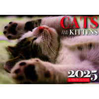 Cats & Kittens - 2025 Rectangle Wall Calendar 16 Months by Biscay