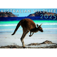 Australian Wildlife - 2025 Rectangle Wall Calendar 16 Months by Design Group