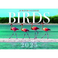 Birds - 2025 Rectangle Wall Calendar 16 Months by Design Group