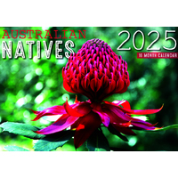 Australian Natives - 2025 Rectangle Wall Calendar 16 Months by Design Group