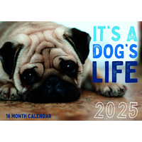 It's A Dog's Life - 2025 Rectangle Wall Calendar 16 Months by Design Group