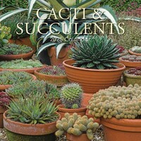 Cacti & Succulents - 2025 Square Wall Calendar 16 month by Gifted Stationery