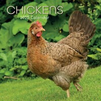 Chickens - 2025 Square Wall Calendar 16 month by Gifted Stationery