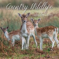 Country Wildlife - 2025 Square Wall Calendar 16 month by Gifted Stationery