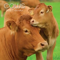 Cows - 2025 Square Wall Calendar 16 month by Gifted Stationery