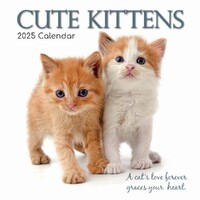 Cute Kittens - 2025 Square Wall Calendar 16 month by Gifted Stationery