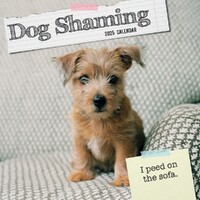 Dog Shaming - 2025 Square Wall Calendar 16 month by Gifted Stationery