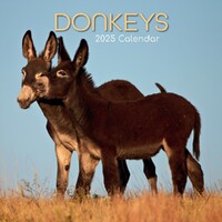 Donkeys - 2025 Square Wall Calendar 16 month by Gifted Stationery