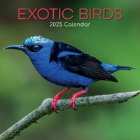 Exotic Birds - 2025 Square Wall Calendar 16 month by Gifted Stationery