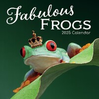 Fabulous Frogs - 2025 Square Wall Calendar 16 month by Gifted Stationery