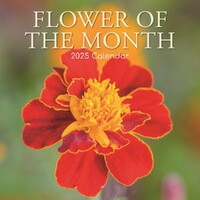 Flower of the Month - 2025 Square Wall Calendar 16 month by Gifted Stationery