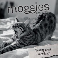 Moggies - 2025 Square Wall Calendar 16 month by Gifted Stationery