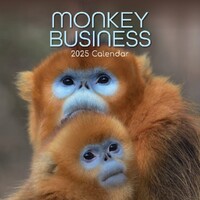 Monkey Business - 2025 Square Wall Calendar 16 month by Gifted Stationery