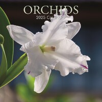 Orchids - 2025 Square Wall Calendar 16 month by Gifted Stationery