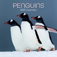 Penguins - 2025 Square Wall Calendar 16 month by Gifted Stationery