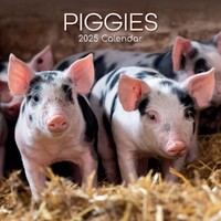 Piggies - 2025 Square Wall Calendar 16 month by Gifted Stationery