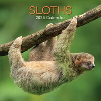 Sloths - 2025 Square Wall Calendar 16 month by Gifted Stationery