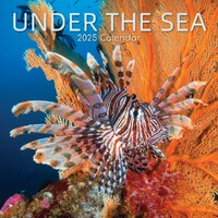 Under the Sea - 2025 Square Wall Calendar 16 month by Gifted Stationery