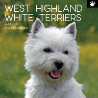 West Highland White Terriers - 2025 Square Wall Calendar 16 month