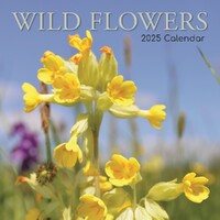 Wild Flowers - 2025 Square Calendar 16 month by Gifted Stationery