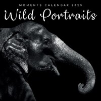 Wild Portraits - 2025 Square Wall Calendar 16 month by Gifted Stationery