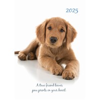 Adorable Dogs - 2025 Diary Planner A5 Padded Cover by The Gifted Stationery