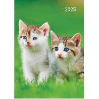 Cats & Kittens - 2025 Diary Planner A5 Padded Cover by The Gifted Stationery