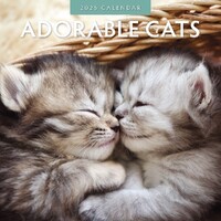 Adorable Cats - 2025 Square Wall Calendar 16 month by Red Robin