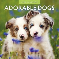 Adorable Dogs - 2025 Square Wall Calendar 16 month by Red Robin