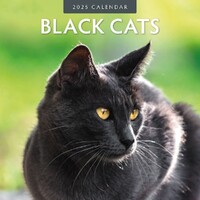 Black Cats - 2025 Square Wall Calendar 16 month by Red Robin