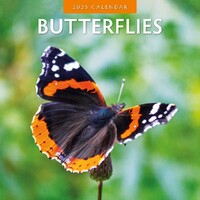 Butterflies - 2025 Square Wall Calendar 16 month by Red Robin