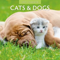 Cats & Dogs - 2025 Square Wall Calendar 16 month by Red Robin