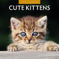 Cute Kittens - 2025 Square Wall Calendar 16 month by Red Robin