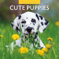 Cute Puppies - 2025 Square Wall Calendar 16 month by Red Robin