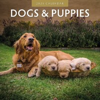 Dogs & Puppies - 2025 Square Wall Calendar 16 month by Red Robin