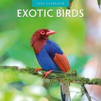 Exotic Birds - 2025 Square Wall Calendar 16 month by Red Robin