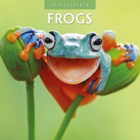 Frogs - 2025 Square Wall Calendar 16 month by Red Robin