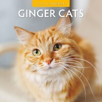 Ginger Cats - 2025 Square Wall Calendar 16 month by Red Robin