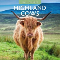 Highland Cows - 2025 Square Wall Calendar 16 month by Red Robin