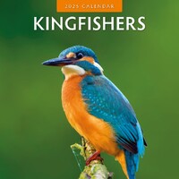 Kingfishers - 2025 Square Wall Calendar 16 month by Red Robin