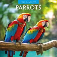 Parrots  - 2025 Square Wall Calendar 16 month by Red Robin