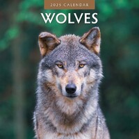 Wolves  - 2025 Square Wall Calendar 16 month by Red Robin