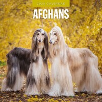 Afghans - 2025 Square Wall Calendar 16 month by Red Robin