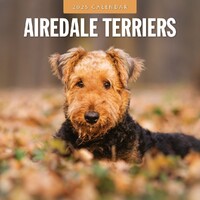 Airedale Terriers - 2025 Square Wall Calendar 16 month by Red Robin