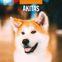 Akitas - 2025 Square Wall Calendar 16 month by Red Robin