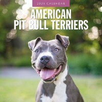 American Pit Bull Terriers - 2025 Square Wall Calendar 16 month by Red Robin