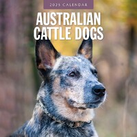 Australian Cattle Dogs - 2025 Square Wall Calendar 16 month by Red Robin